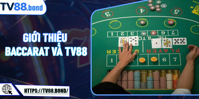 Giới thiệu Baccarat và TV88